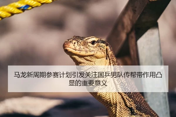 马龙新周期参赛计划引发关注国乒男队传帮带作用凸显的重要意义