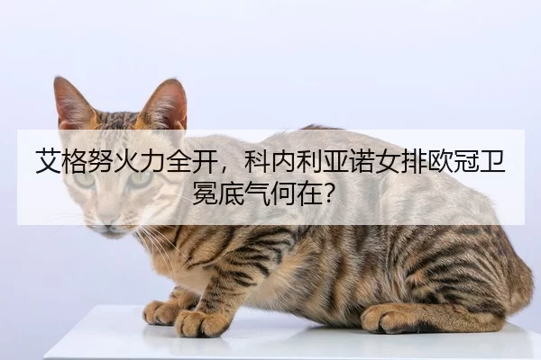 艾格努火力全开，科内利亚诺女排欧冠卫冕底气何在？