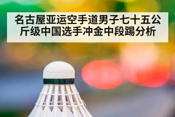 名古屋亚运空手道男子七十五公斤级中国选手冲金中段踢分析
